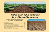 Weed Control In Sunflower - National Sunflower … across the country are accus-tomed to the uncertainty that comes with all the variables in producing crops. The tough weather of