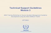 Technical Support Guidelines Module 3 - Atoms for Peace ... · Technical Support Guidelines Module 3 ... Core debris may not be retained in RPV ... Prefer CST as the suction source