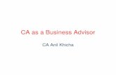 CA as a Business Advisor-13AUG.ppt - SIRC€™s Expectations & Role of a CA • Conventional Functions – Accounting, Auditing, Certification, Taxation • As a Financial Advisor