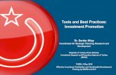 Tools and Best Practices: Investment Promotion · Tools and Best Practices: Investment Promotion ... market share, pricing, entry ... July 28, 2008. ^A View from orporate America: