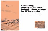 Growing Pumpkins and Other Vine Crops in Wisconsinlearningstore.uwex.edu/Assets/pdfs/A3688.pdfsuch as hay rides, apple cider, or a haunted house. If you grow cucumbers, be sure your