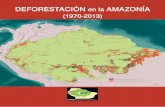 DEFORESTACIÓN en la AMAZONÍA (1970-2013) - RAISG · los países que la componen. De toda ... por ejemplo el cultivo ilícito de coca en áreas de Perú y Colombia. La Red Amazónica