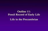 Fossil Record of Early Life - West Virginia Universitypages.geo.wvu.edu/~kammer/g3/11.pdfof stromatolites and the cyanobacteria that formed them. The cyanobacteria resemble living