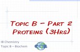 Topic B Part 2 Proteins (3Hrs) - BrakkeIBchem1 - home-+01...Topic B – Part 2 Proteins (3Hrs) IB Chemistry Topic B – Biochem B2 Proteins - 3 hours B.2.1 Draw the general formula