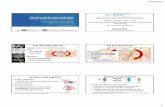 PowerPoint Presentation · Erythrasma - C. minutissimum Trichomycosis - C. tenuis