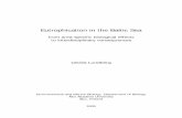 Eutrophication in the Baltic Sea - s unest.su.se/MARE2_old/dokument/Cecilia_Lundberg_abstract.pdf · Environmental and Marine Biology, ... Eutrophication in the Baltic Sea ... För