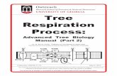 Tree Respiration Process - Welcome to Warnell · Advanced Tree Biology Manual (Part 2) ... carbon is not respired away, but is used to maintain tree life and build tree structure.