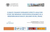 CLIMATE CHANGE SCENARIOS EFFECTS ANALYSES …lluvia.dihma.upv.es/ES/publi/congres/047_AGAyFF_SEFS_O5-6.pdf · Recruitment →morphology, scour di t b & WTEdisturbances & WTE Shear
