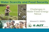 Water Scarcity and Food Security · Water Scarcity and Food Security. The context. ... Physical and economic water scarcity. ... assuming no efficiency gains