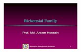 Rickettsial Family - Mymensingh Medical College file/Rickettsia, akram.pdf · Rickettsial Family Prof. Md. Akram Hossain Prof. Muhammad Akram Hossain, Ricketssia 1. Howard Taylor