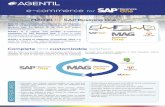 e-commerce for - AGENTIL€¦ · What is MAG B1 for SAP Business One? MAG B1 (The e-commerce connector for SAP Business One) is an integrated business management application designed