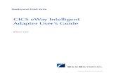 CICS eWay Intelligent Adapter User’s Guide · interfaces with IDMS, ADABAS, DATACOM, to name a few. ... are written in COBOL, although it supports other languages such as PL/1.
