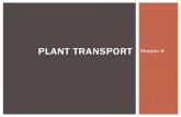 PLANT TRANSPORT Chapter 8 TRANSPORT Chapter 8 ! What transports material in the plant? TRANSPORT SYSTEM ! What transports material in the plant? TRANSPORT SYSTEM ! What transports
