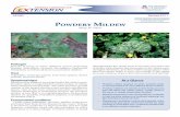 Horticultural Crops Powdery Mildew - … the few foliar diseases that is prevalent in low desert areas. ... plant in full sun plant susceptible plants in sunny ... bicarbonate of soda