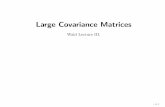 Large Covariance Matrices - Home | Department of Statisticsstatweb.stanford.edu/~imj/wald/wald3web.pdf · Large Covariance Matrices Wald Lecture III. –p.1. Harold Hotelling and