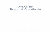 ATLAS OF Regional Anesthesia - Doody another edition of our Atlas of Regional Anesthesia ... The first two editions of the Atlas ... as well as a variety of local anesthetic drugsAuthors: