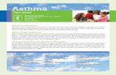 Asthmaasthma.nmanet.org/toolkit/downloads/ASTHMA_FACTSHEET.pdfHow to Manage Asthma 11, 12, 13 Using an inhaler for the quick-relief of asthma symptoms is not enough. Don’t put up