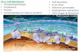 Ch 5. Cell Membrane Cell boundary Phospholipid bilayer 8 ... · which solutes can cross the membrane and which cannot c) ... (cross section) WATER (a) ... Animal cell (b) Plant cell