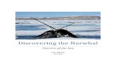 Discovering the Narwhal - Amazon Web Services · Web viewSuch behavior might help determine social rank and maintain dominance hierarchies, similar to the antlers of a stag. Narwhals