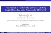 The Method of Fundamental Solutions in Solving Coupled Boundary Value Problems …Meshfree-methods-seminar/presenta… ·  · 2014-01-09The Method of Fundamental Solutions in Solving