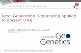 Next-Generation Sequencing applied to ancient DNA · Next-Generation Sequencing applied to ancient DNA ... Trimming of adapter sequences and low quality bases ... Merging, tagging