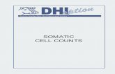 DHI: Somatic Cell Counts - AgroMediaagromedia.ca/ADM_Articles/content/dhi_scc.pdf · DHI Somatic Cell Counts 7 Linear scores are used to evaluate the udder health status of a cow
