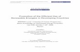 Promotion of the Efficient Use of Renewable Energies in Developing Countries€¦ ·  · 2016-02-06Promotion of the Efficient Use of Renewable Energies in Developing Countries EIE-06-256