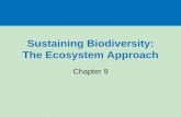 Sustaining Biodiversity: The Ecosystem Approachpeople.nnu.edu/jocossel/BIOL1040/BIOL1040 Online Deli… ·  · 2015-01-07• Human activities have reduced the earth’s original