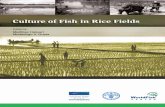 Culture of Fish in Rice Fields - Food and Agriculture ... · ii FAO and The WorldFish Center | Culture of Fish in Rice Fields Culture of ﬁ sh in rice ﬁ elds Edited by Matthias