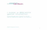 I have a BRCA1/2 gene mutation - Ovarian Cancer Actionovarian.org.uk/documents/23/Acting_on_BRCA_leaflet_-_I...2 What having a BRCA1/2 gene mutation means Receiving a positive test