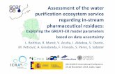 of the water purification ecosystem service regarding in ... SCARCE International... · Waste water treatment plants ... Catchment description Pharmaceuticals ... – Medical use