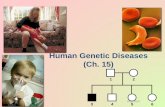 6.7 Human Genetic Diseases - Katy ISDstaff.katyisd.org/sites/1300770/Documents/AP Biology/Unit 6... · •cystic fibrosis •Tay sachs •sickle cell anemia ... •Thick, sticky,
