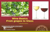 Wine Basics From grapes to Glass - WSU Extensionextension.wsu.edu/yakima/wp-content/uploads/sites/40/2016/02/Wino... · Wine Basics From grapes to Glass Claudia Steen . Definitions