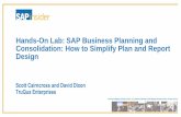 Hands-On Lab: SAP Business Planning and Consolidation: …wpc.0b0c.edgecastcdn.net/000B0C/Presentations/FIN20… ·  · 2016-03-04Script Logic ALLOCATE.LGF SAP EPM Add-in for Excel