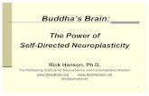 Crow Lecture 2011 - Home | Wisebrain.org is produced anywhere; pleasure is circumscribed.!Neuropsychology:!Separate, low-level systems for negative and positive stimuli!Right hemisphere