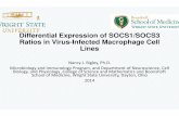 Differential Expression of SOCS1/SOCS3 Ratios in Virus-Infected Macrophage Cell Lines€¦ ·  · 2015-11-03Ratios in Virus-Infected Macrophage Cell Lines ... the cells were spun