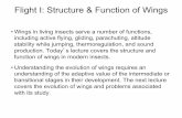 Flight I: Structure & Function of Wings - University of Utahcourses.biology.utah.edu/feener/5445/Lecture/Bio5445 Lecture 12.pdf · Flight I: Structure & Function of Wings • Wings