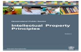 Queensland Public Sector IP Principles ·  · 2018-01-31The Queensland Public Sector Intellectual Property Principles ... Information Technology, Innovation and the Arts (DSITIA),