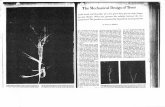 The Mechanical Design of Trees - University of Vermontpdodds/files/papers/others/1975/mcmahon1975a.pdf · The Mechanical Design of Trees h the trunk and Branches of a tree grow they