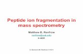 Peptide ion fragmentation 01-14-11 - UAB · Peptide ion fragmentation inPeptide ion fragmentation in ... • We’ve discussed the nature of the problem, ... – Interpreting the