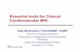 Essential tools for Clinical Cardiovascular MRI.pptamos3.aapm.org/abstracts/pdf/97-25808-353470-109860.pdf · Essential tools for Clinical Cardiovascular MRI Raja Muthupillai, ...