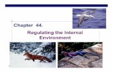 Chapter 44. Regulating the Internal Environment the Internal Environment Chapter 44. AP Biology 2005-2006 Homeostasis Living in the world organisms had a choice: regulate their internal