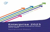 2015-2025 Ireland’s National Enterprise Policy · DJEI ENTERPRISE 2025 i Table of Contents Executive summary v Section A – Setting the context 1 The economic context 3 A challenging