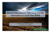 Denitrification, nitrous oxide emissions and the EPA denitrification 3. Nitrification 4. Nitrate ammonification NH 3 NH 2OH NO 2-NO N 2O N 2 N 2O NO 3-NO 2-NH 4 + N 2O NO N 2O N 2
