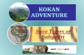 KOKAN ADVENTURE - Tiger Conservation & Research … TIGER.pdf · The Chandoli National Park was ... Mumbai to Goa through Kokan. Over 500 km journey, ... famous forts, ancient Laxminarayan