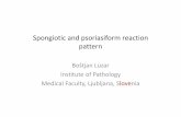 Spongiotic and psoriasiform reaction pattern and psoriasiform reaction pattern • Dynamic prosess • Different changes as the lesions evolve • Distinguishing clinical subtypes