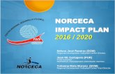 NORCECA IMPACT PLAN - NORCECA Volleyball …norceca.net/CRDVs/Norceca Impact Plan 2016-2020.pdf · To present this project to the different Ministries ... Encourage physical education,