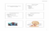 11 Head and Neck.ppt - Pat Head and Neck.pdf08/03/2009 1 Head and Neck, Eyes, Ears, Nose, Throat Head Neck â€¢ Review Anatomy of head â€¢ History â€“ Headache â€“
