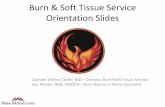 Burn & Soft Tissue Service Orientation Slides - surg.me Soft Tissue Orientation.pdf · Burn & Soft Tissue Service Orientation Slides ... (> Age 12) •Cold injury ... hallmark of