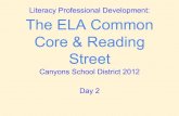 Literacy Professional Development: The ELA Common …csdela.weebly.com/uploads/9/5/6/3/9563459/... · Literacy Professional Development: The ELA Common Core ... Low First Sound Fluency